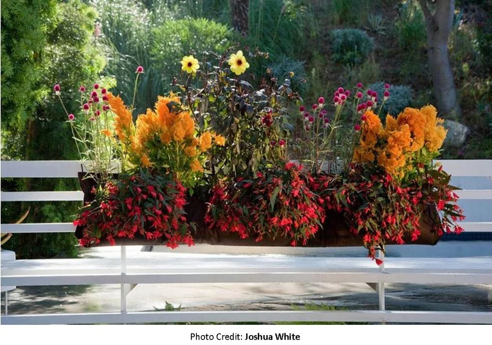 Wally Three Pocket — Edible Walls